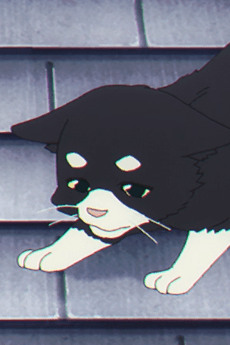 Tom
