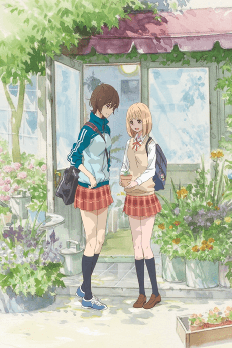Anime