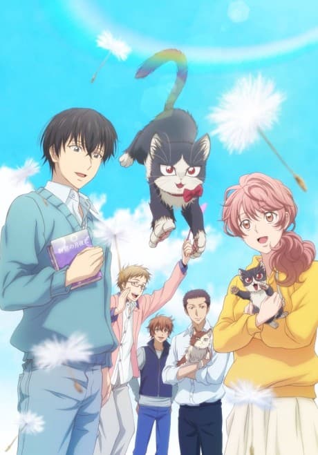 Anime