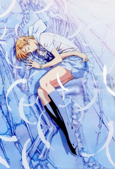 Anime