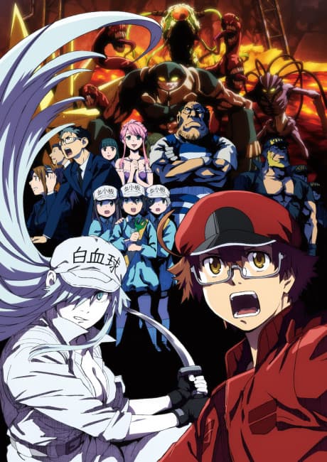 Anime